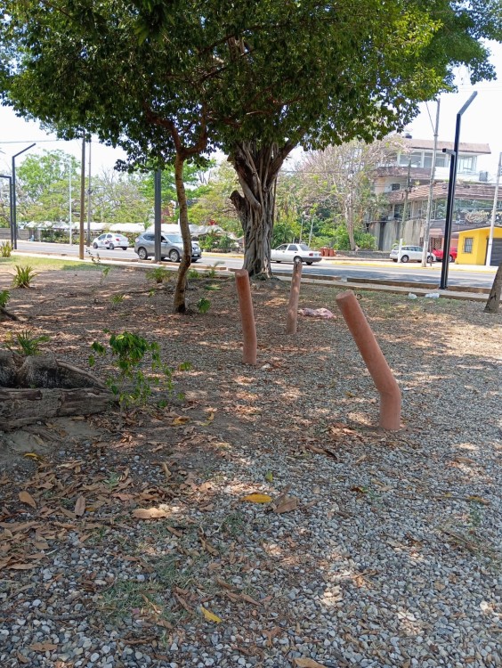 zona del CICOM