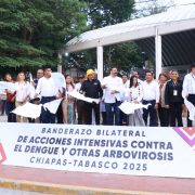Tabasco y Chiapas activan operativo conjunto contra el dengue