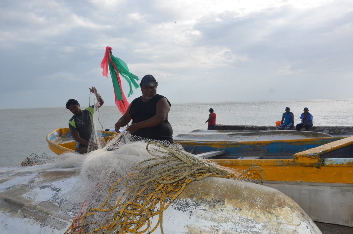 Inconformidad en cooperativas pesqueras por depuración del padrón