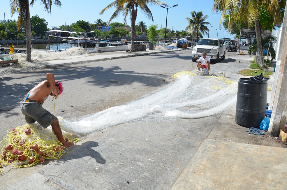 Inconformidad en cooperativas pesqueras por depuración del padrón