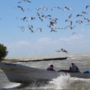 Inconformidad en cooperativas pesqueras por depuración del padrón