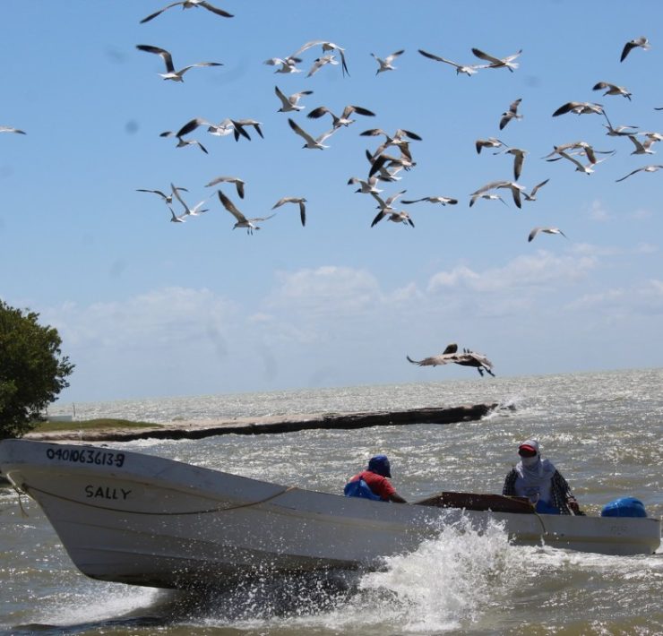 Inconformidad en cooperativas pesqueras por depuración del padrón