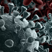 Alerta sanitaria por rebrote de Covid según la OMS. Es más infeccioso pero menos mortal