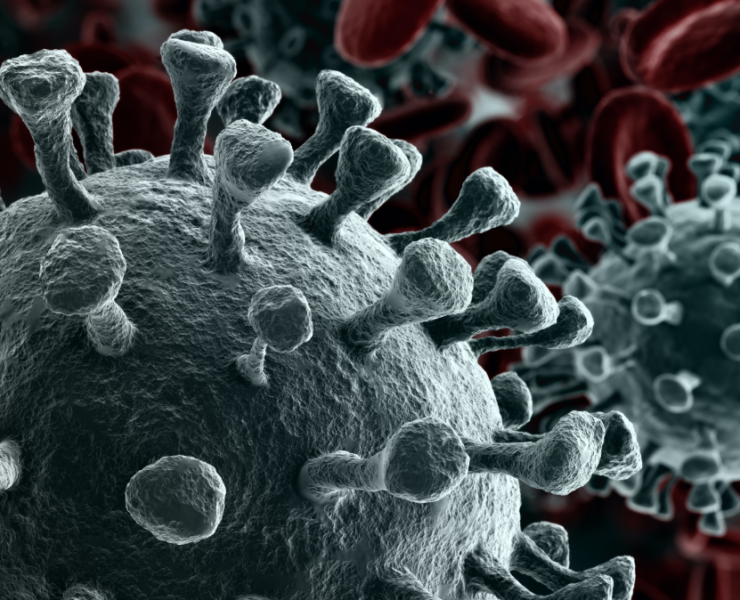 Alerta sanitaria por rebrote de Covid según la OMS. Es más infeccioso pero menos mortal