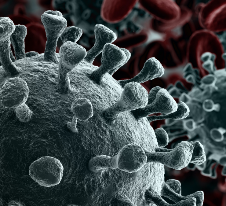 Alerta sanitaria por rebrote de Covid según la OMS. Es más infeccioso pero menos mortal