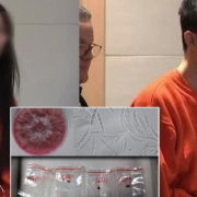 EEUU detuvo a dos ciudadanos chinos acusados de bioterrorismo con un hongo letal