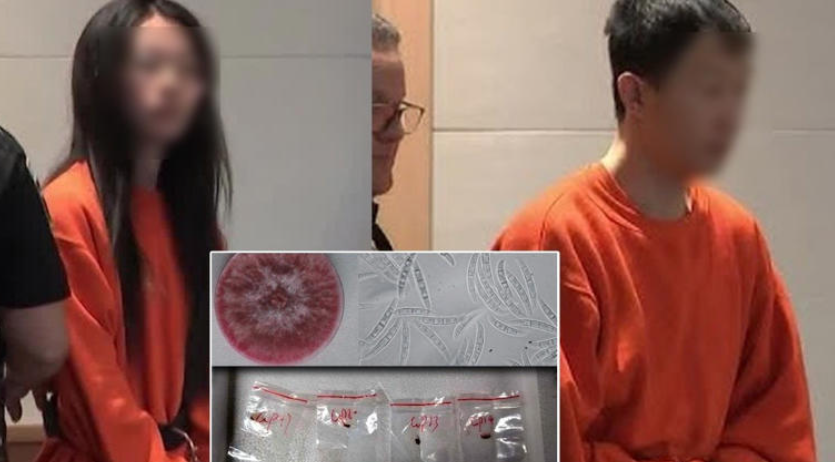 EEUU detuvo a dos ciudadanos chinos acusados de bioterrorismo con un hongo letal