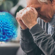 Descubren molécula que revierte el deterioro cognitivo