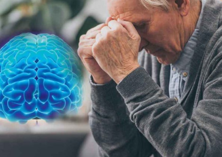 Descubren molécula que revierte el deterioro cognitivo