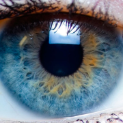 Primeras córneas humanas impresas en 3D y son totalmente funcionales