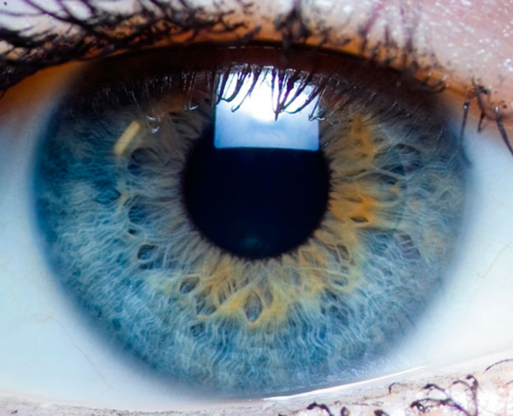 Primeras córneas humanas impresas en 3D y son totalmente funcionales