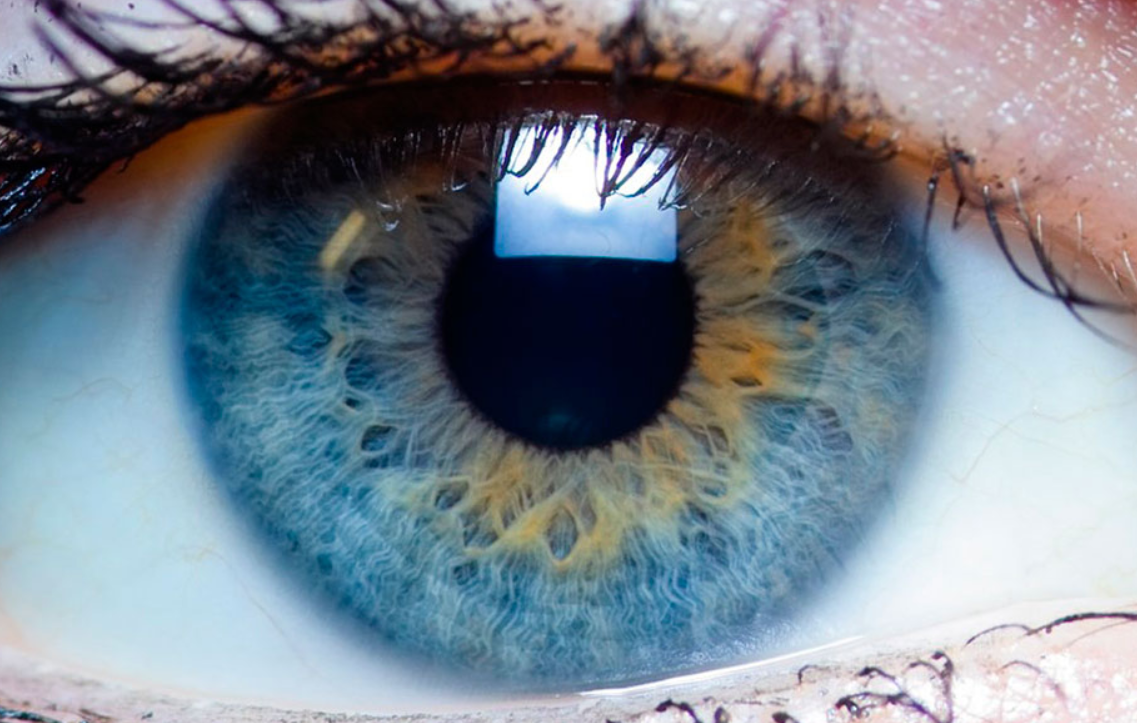 Primeras córneas humanas impresas en 3D y son totalmente funcionales