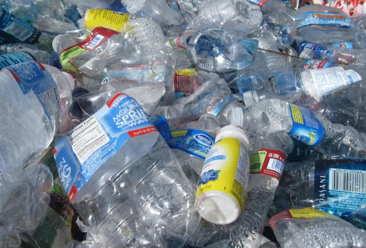 ¿Por qué es importante este hallazgo?