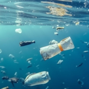 Dos adolescentes fabrican un filtro de microplásticos para limpiar el agua