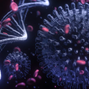 Un nuevo virus descubierto en China está muy cerca de volverse una epidemia