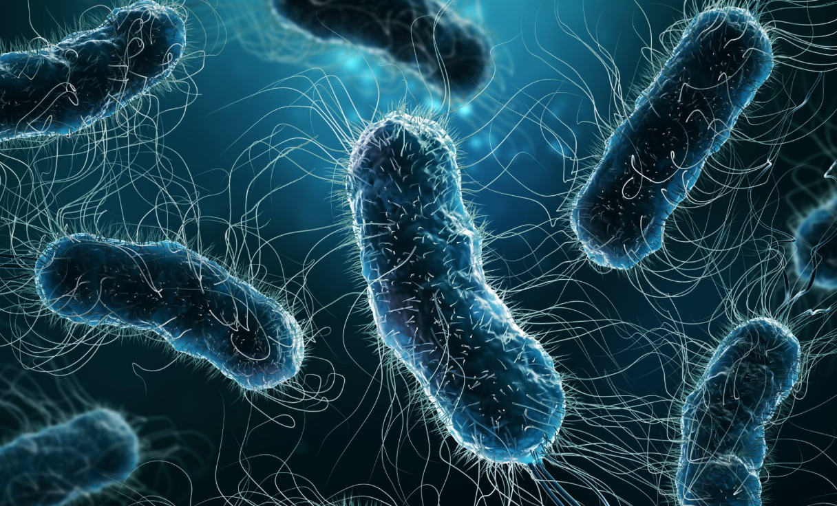 ¿Por qué el hielo puede contener más bacterias que el agua del inodoro?