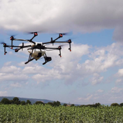 Japón usa drones para sembrar árboles 10 veces más rápido que si se hiciera a mano