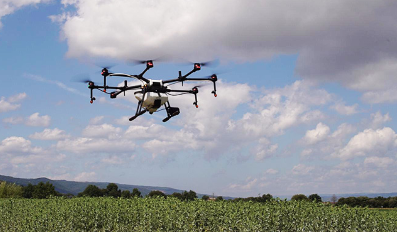 Japón usa drones para sembrar árboles 10 veces más rápido que si se hiciera a mano