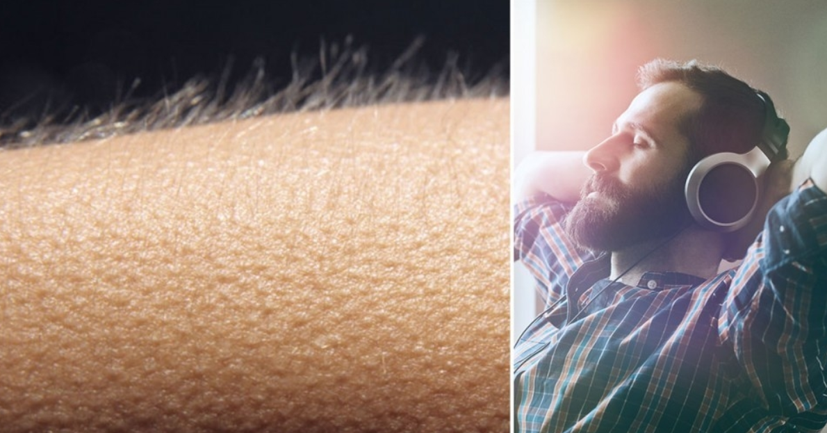Escalofríos por oír música, una habilidad que no todos tienen