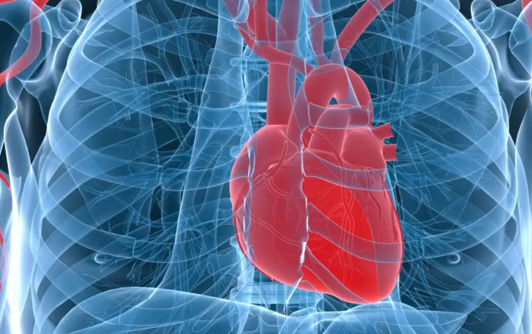 ¿Cómo afecta el mal sueño al corazón?