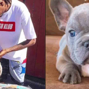 Snoop Dogg está de luto por la pérdida de un ser querido. Internet se une a su duelo