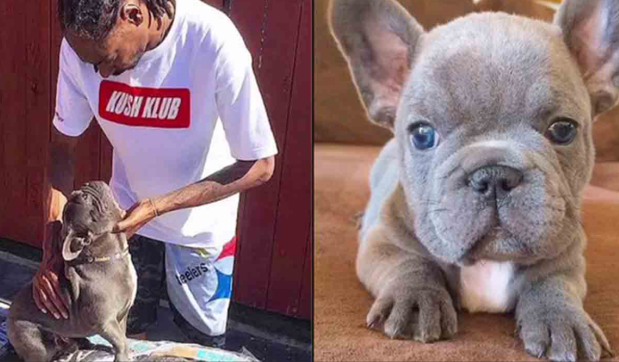 Snoop Dogg está de luto por la pérdida de un ser querido. Internet se une a su duelo