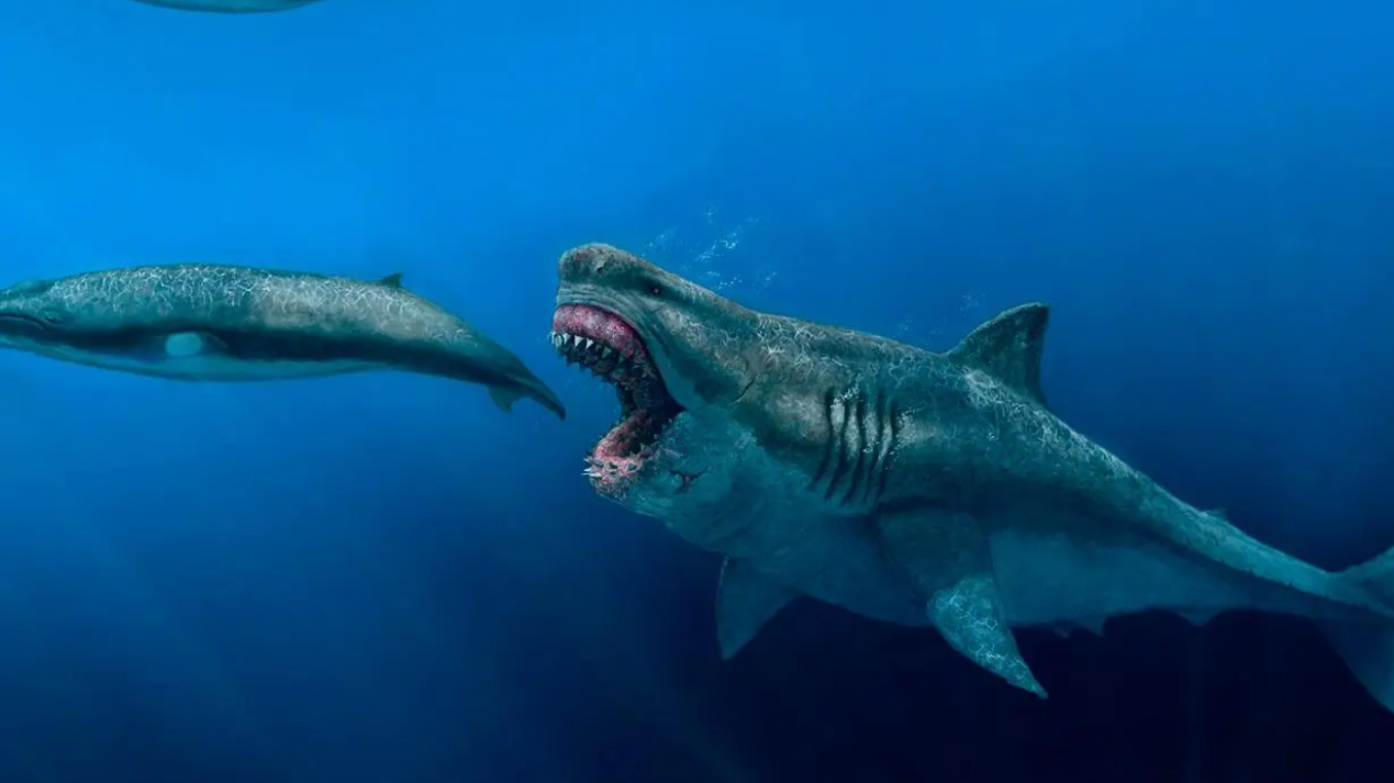 Ecos del pasado: criaturas que habitaron mares poco profundos