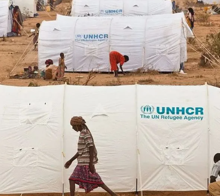 Día Mundial de los Refugiados, te contamos más de esta desconocida fecha