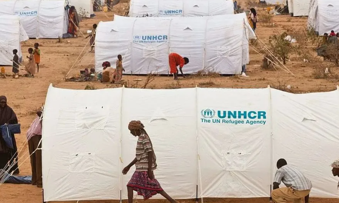 Día Mundial de los Refugiados, te contamos más de esta desconocida fecha