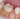 Logran cultivar dientes humanos en un laboratorio de Londres