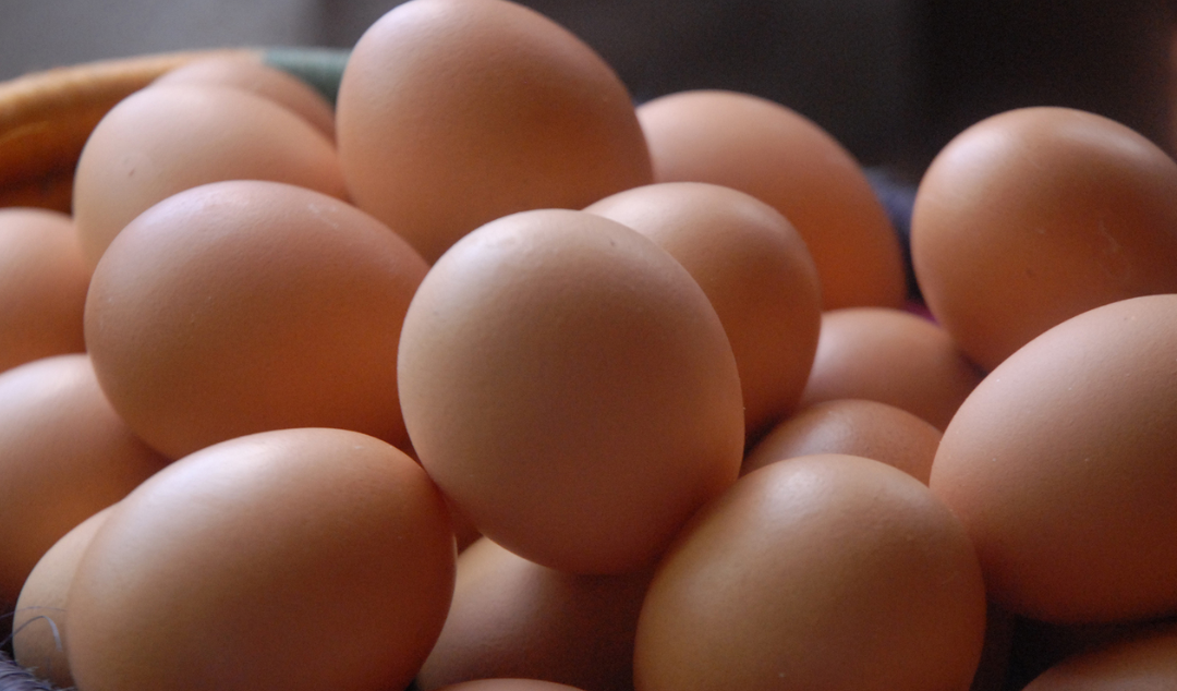 ¿Cómo puede el consumo de huevos reducir la demencia?