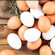 Consumo de huevos reduce la demencia: el alimento que cuida tu mente