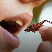 Beneficios de comer saltamontes, una joya oculta para tu salud