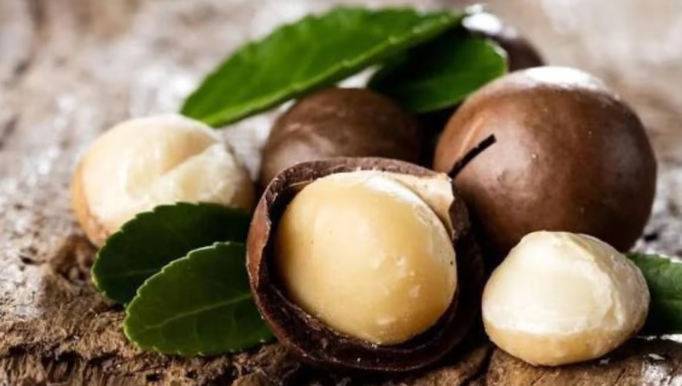 ¿Por qué comer nueces de macadamia es bueno para ti?
