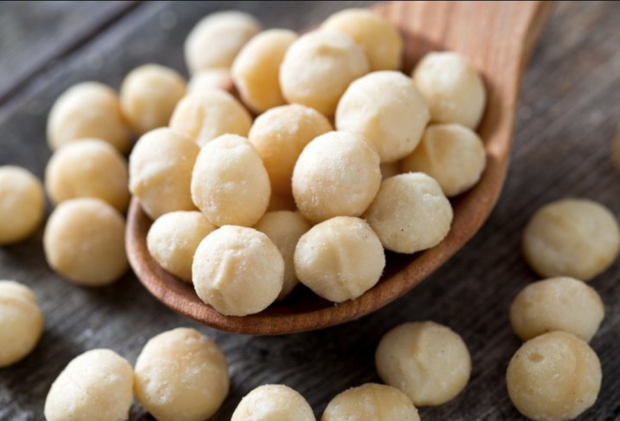 Descubre los beneficios de comer nueces de Macadamia, un gran aditamento a tu dieta