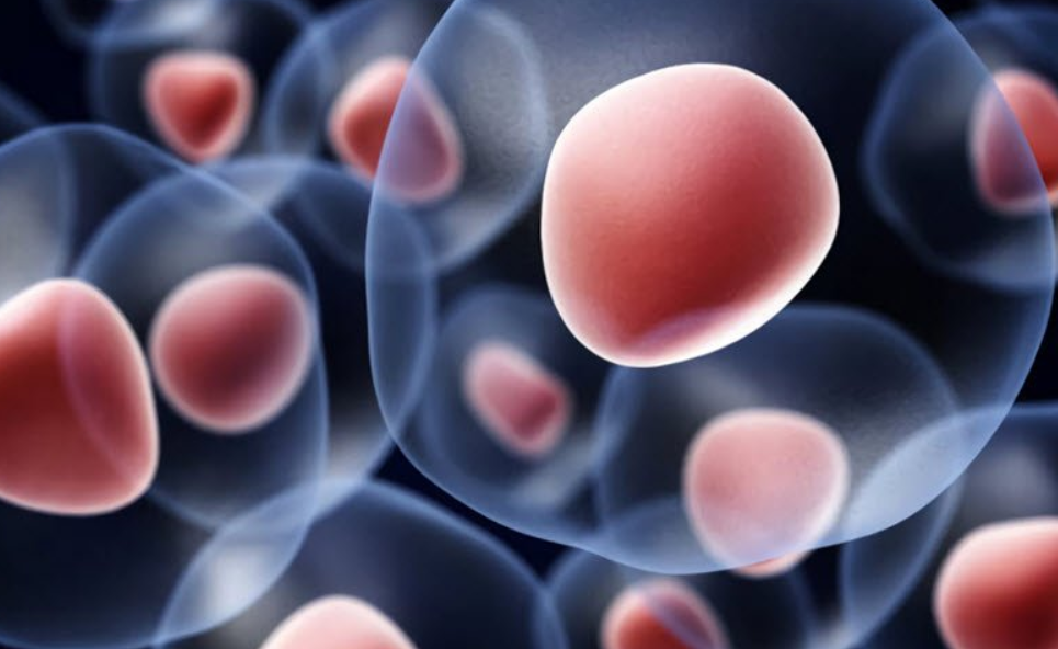 ¿Qué enfermedades podrían beneficiarse?