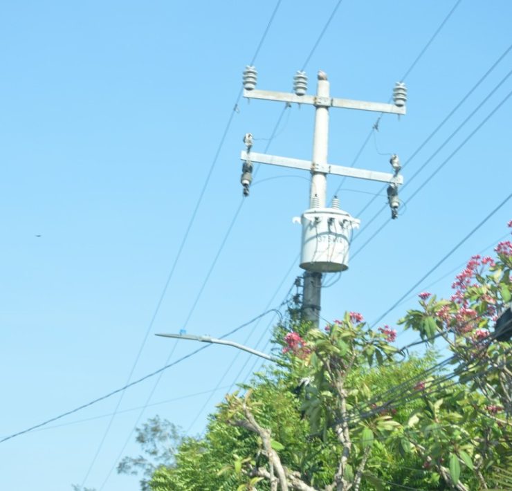 Atastecos hartos de mentiras