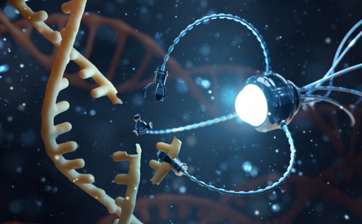 ¿Cómo funcionan los nano robots que 'cazan' el cáncer?