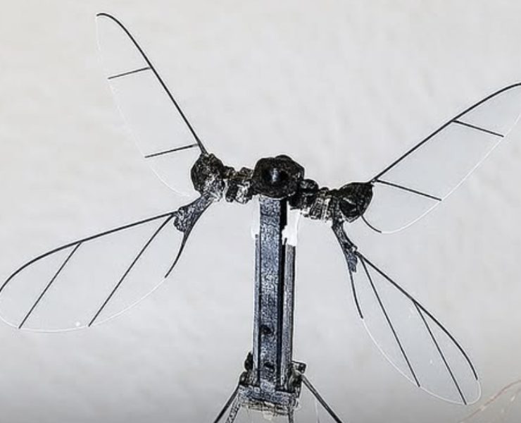 China revela nuevo dron militar y tiene el tamaño de un mosquito