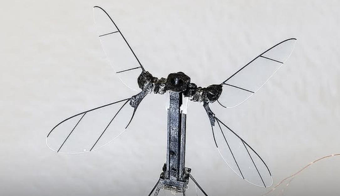 China revela nuevo dron militar y tiene el tamaño de un mosquito