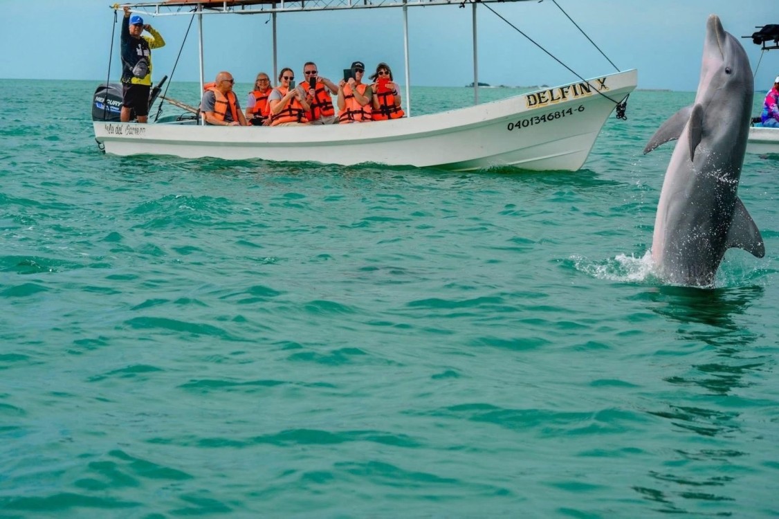 Laguna de Términos debe ser el primer Refugio Santuario de Mamíferos Marinos en México