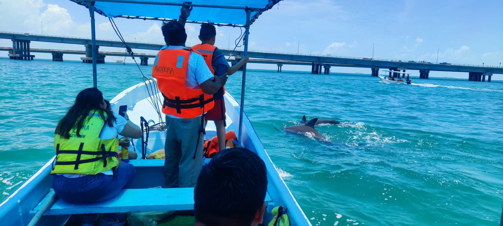 Laguna de Términos debe ser el primer Refugio Santuario de Mamíferos Marinos en México