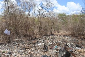 Vegetación nativa destruida en la zona norte de la Reserva Cuxtal, afectada por el desmonte y lotificación irregular en Cuxtal.