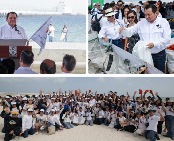 Ecocidios y depredación de especies tendrán castigo ejemplar en Yucatán