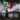 Embajador de EEUU en México condena protestas