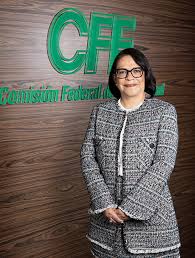 El Gobernador Joaquín Díaz Mena anunció que la Titular de la CFE llegará a Yucatán para supervisar personalmente las obras eléctricas en curso.
