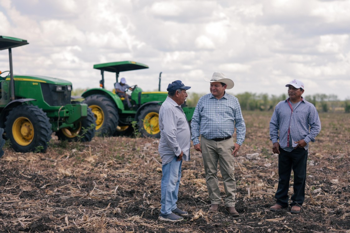 “Renace Tekax” Gobernador Joaquín Díaz Mena lidera histórica transformación del campo