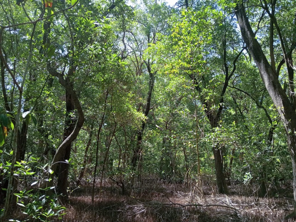 Turismo de aventura o de sendero en Atasta
