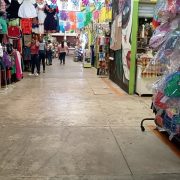 Dalila Mata debe gestionar recursos para la reactivación económica