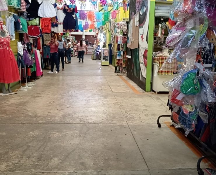 Dalila Mata debe gestionar recursos para la reactivación económica